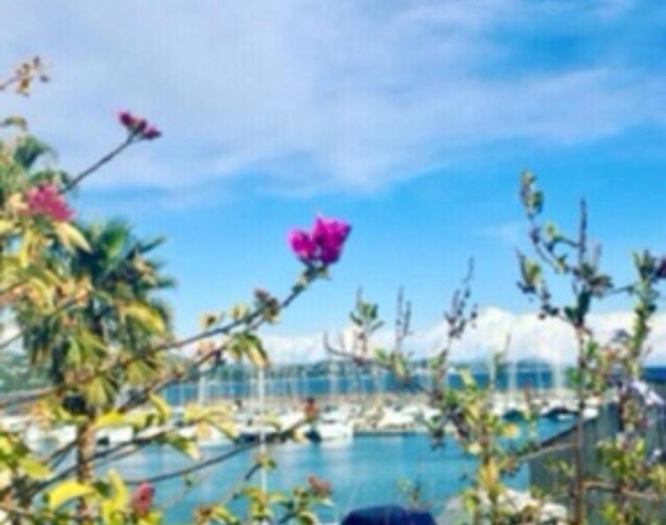 Petit Cocon Magnifique Vue Sur Marina Dans Le Golfe De Saint Tropez Διαμέρισμα Cogolin Εξωτερικό φωτογραφία
