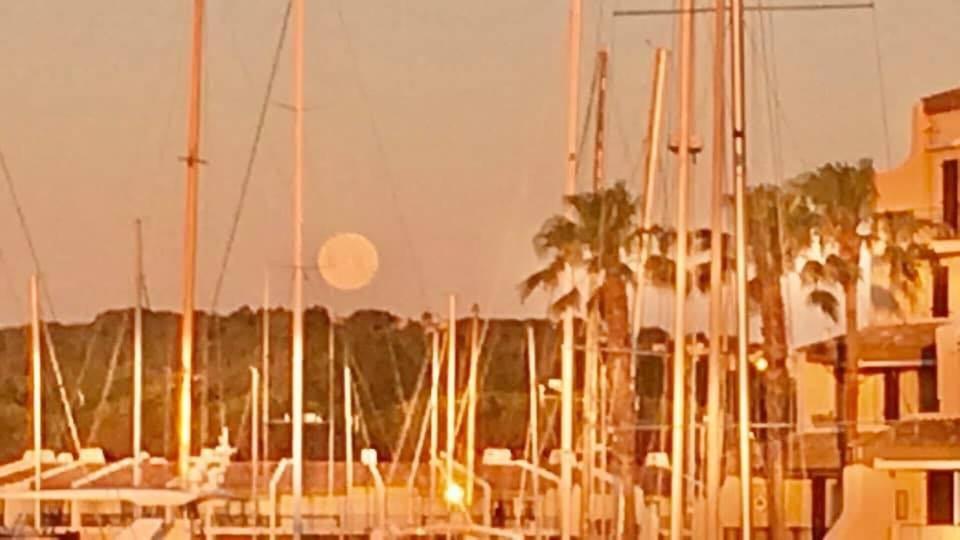 Petit Cocon Magnifique Vue Sur Marina Dans Le Golfe De Saint Tropez Διαμέρισμα Cogolin Εξωτερικό φωτογραφία